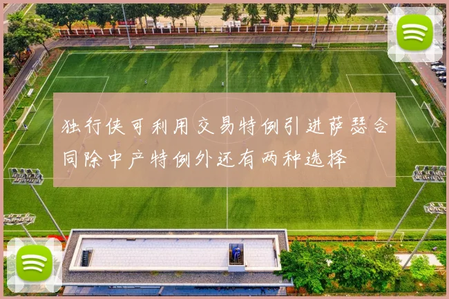 独行侠可利用交易特例引进萨瑟合同除中产特例外还有两种选择