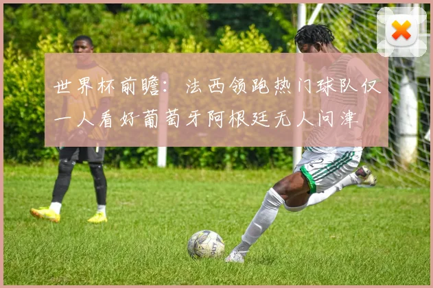 世界杯前瞻：法西领跑热门球队仅一人看好葡萄牙阿根廷无人问津